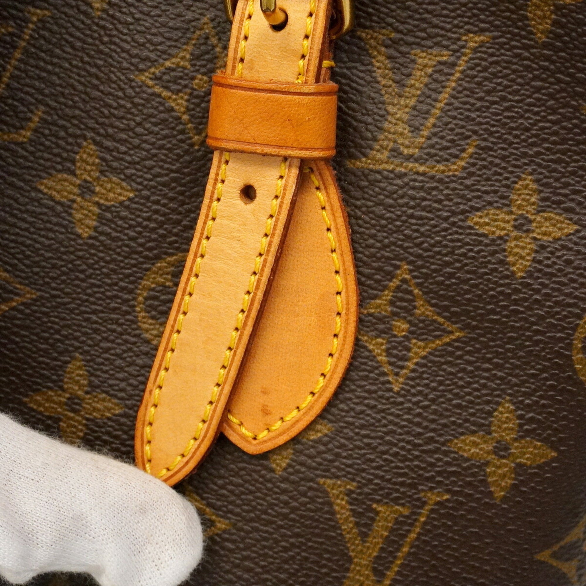 Louis Vuitton Brown Tote Bag (Pre-Owned)