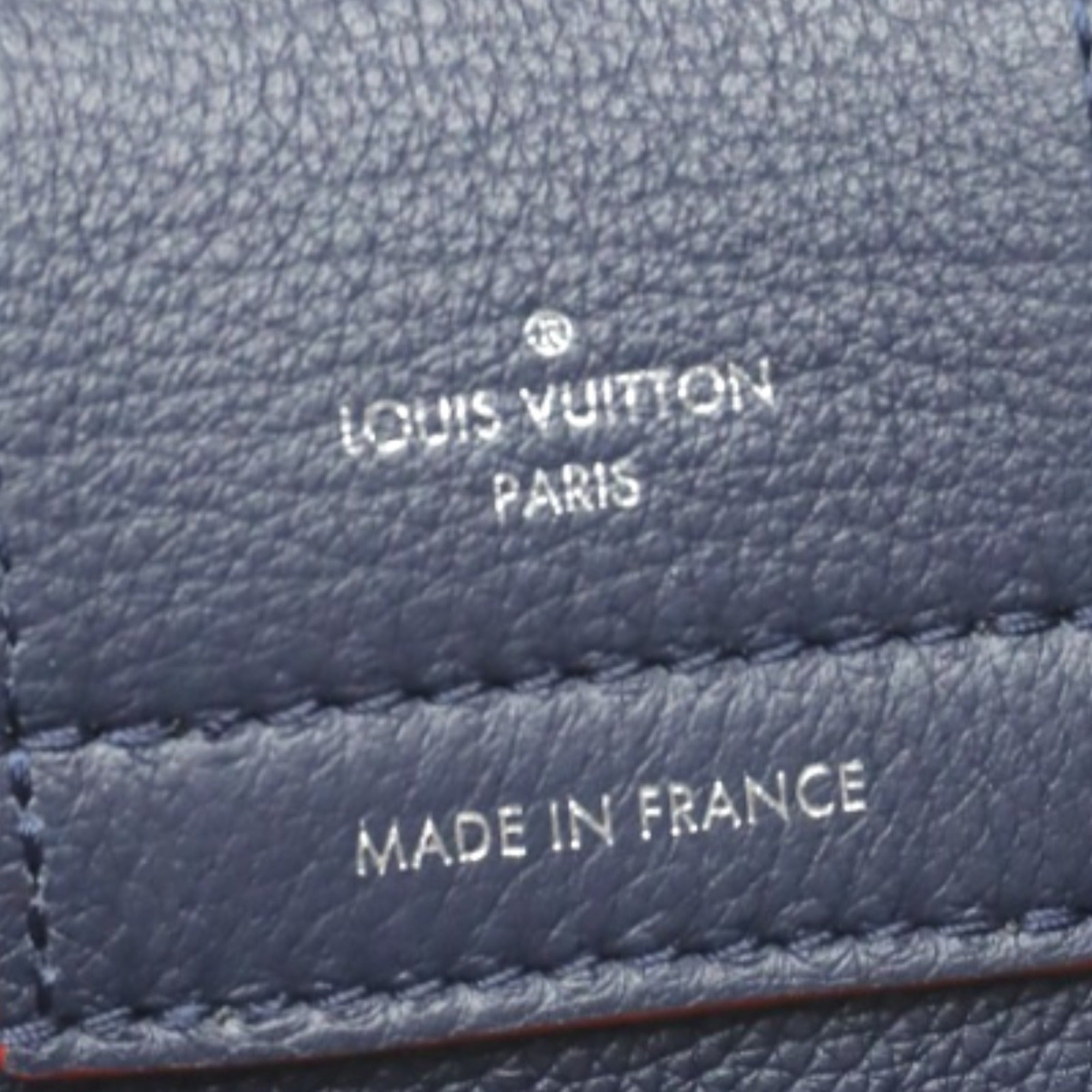 Louis Vuitton Navy Red Color Handbag (Pre-Owned)