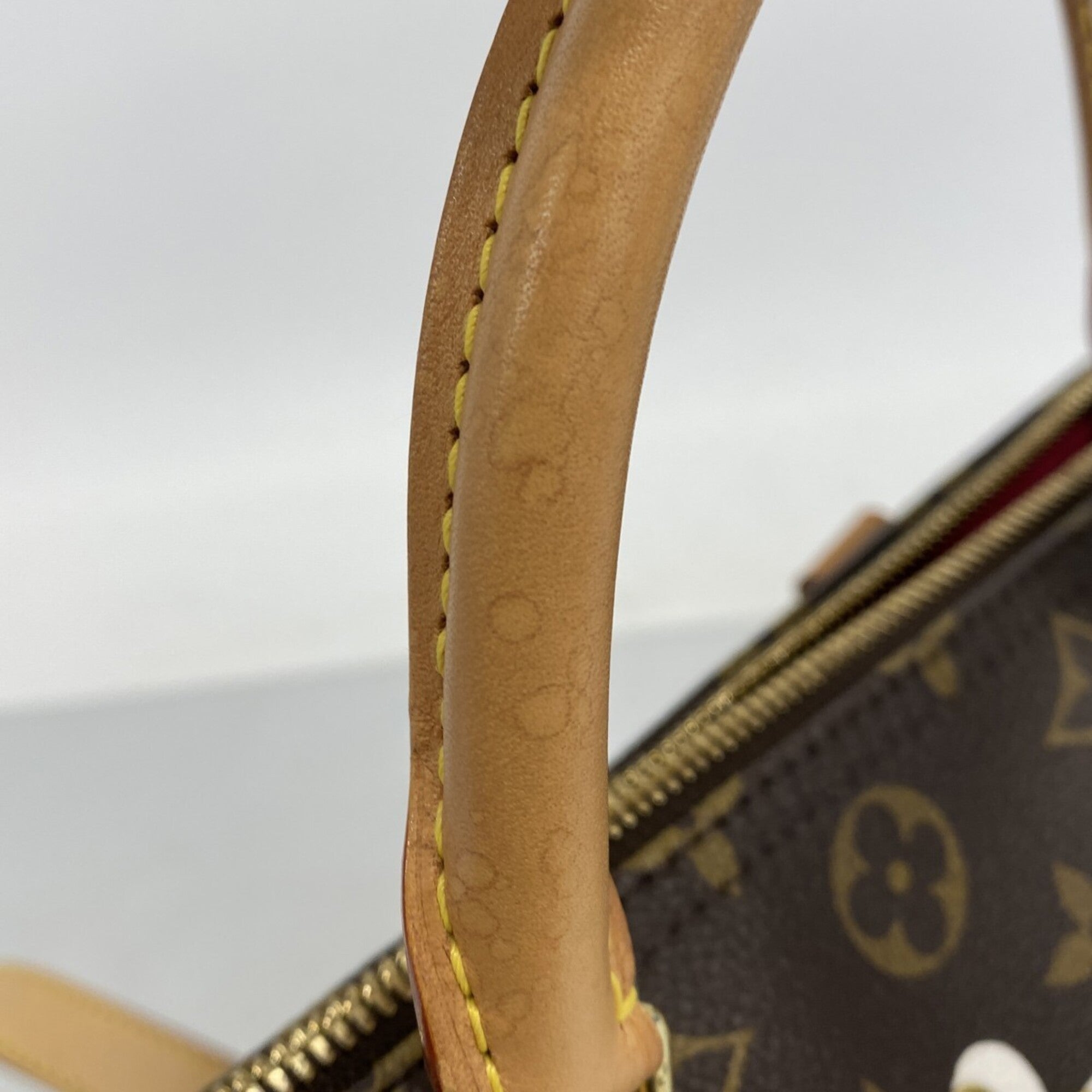 Louis Vuitton Brown Handbag (Pre-Owned)