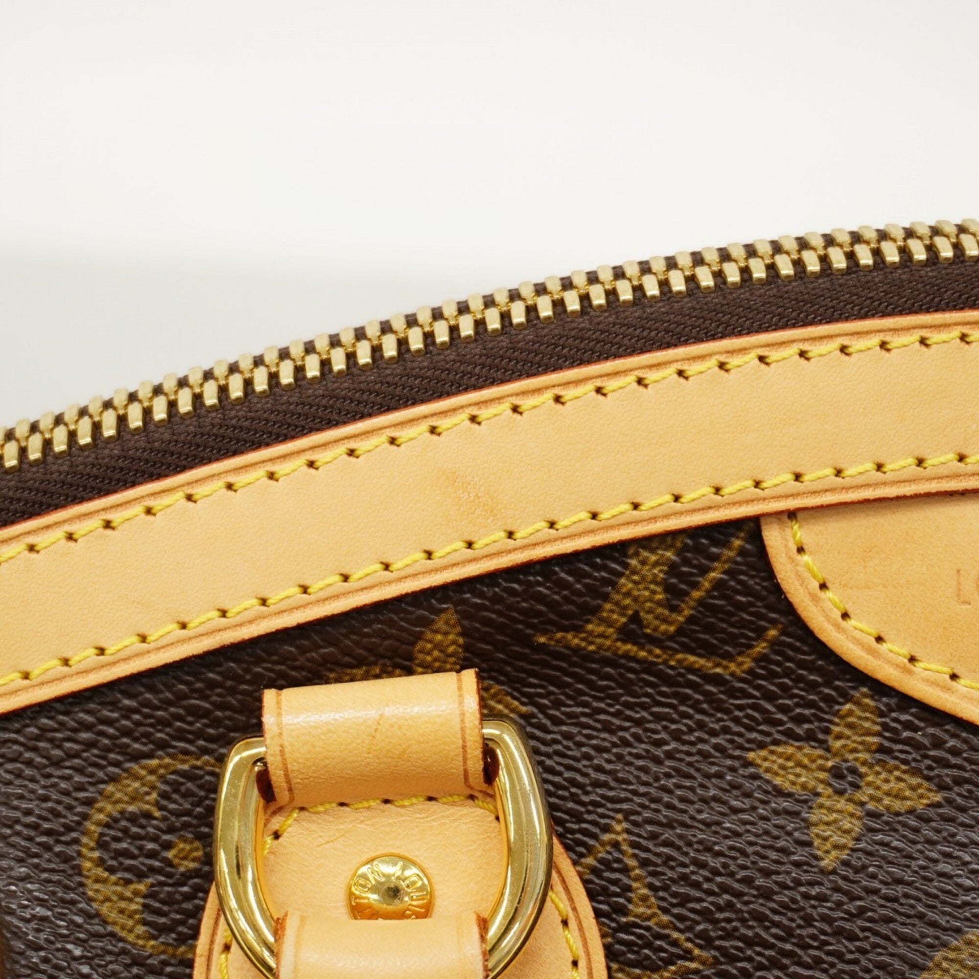 Louis Vuitton Brown Handbag (Pre-Owned)