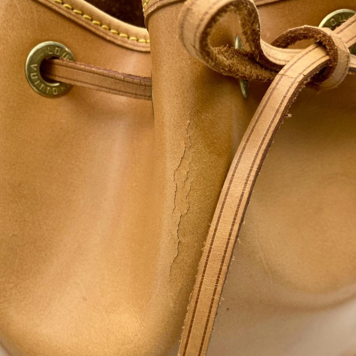 Louis Vuitton Beige Nomade Leather Handbag (Pre-Owned)