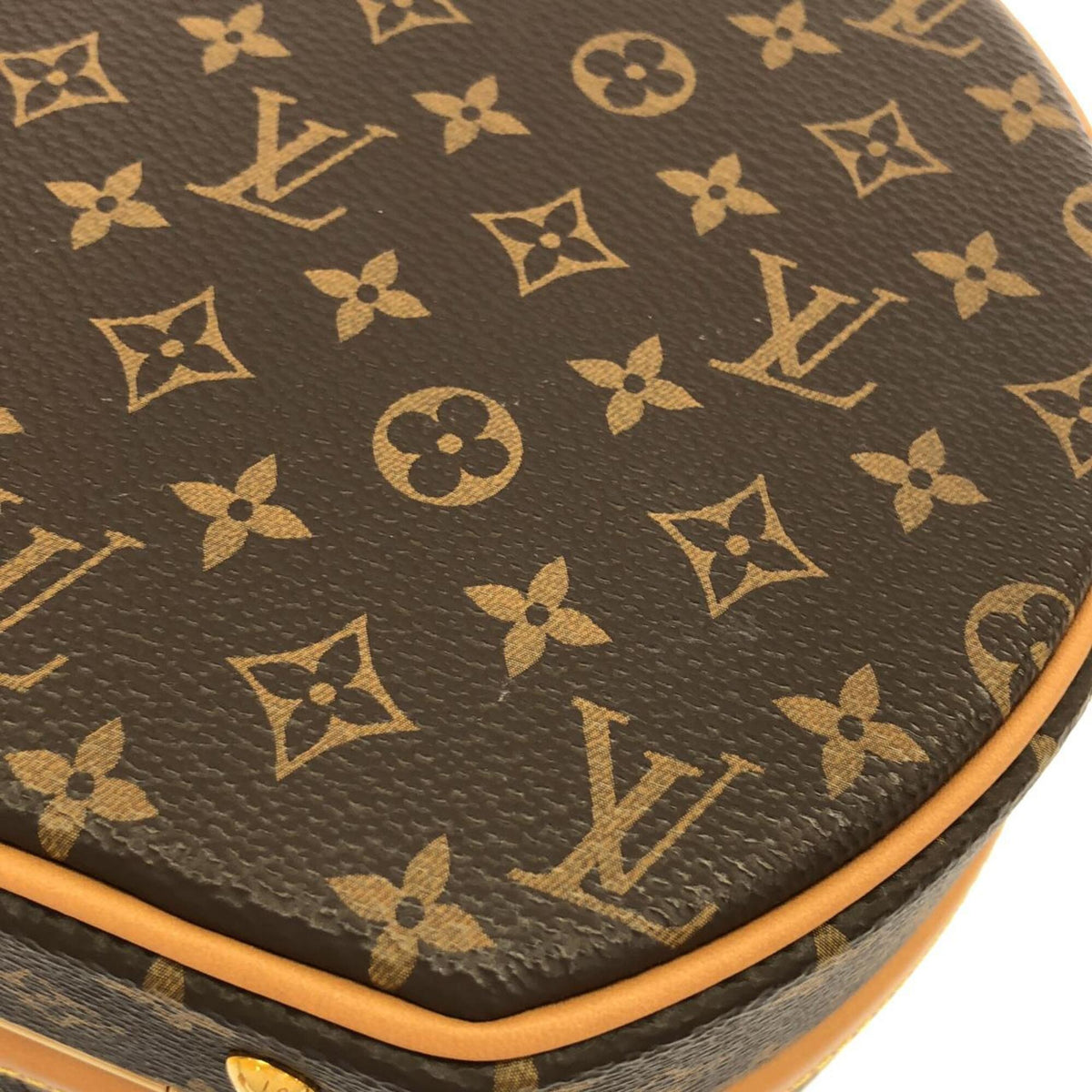 Louis Vuitton Marron Monogram Coated Canvas Handbag (Pre-Owned)