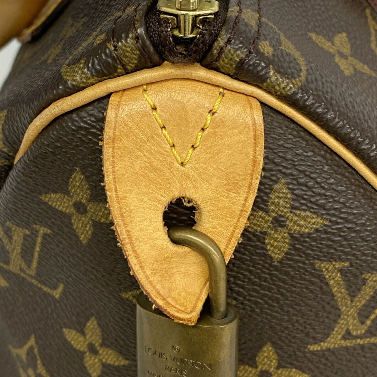 Louis Vuitton Brown Handbag (Pre-Owned)