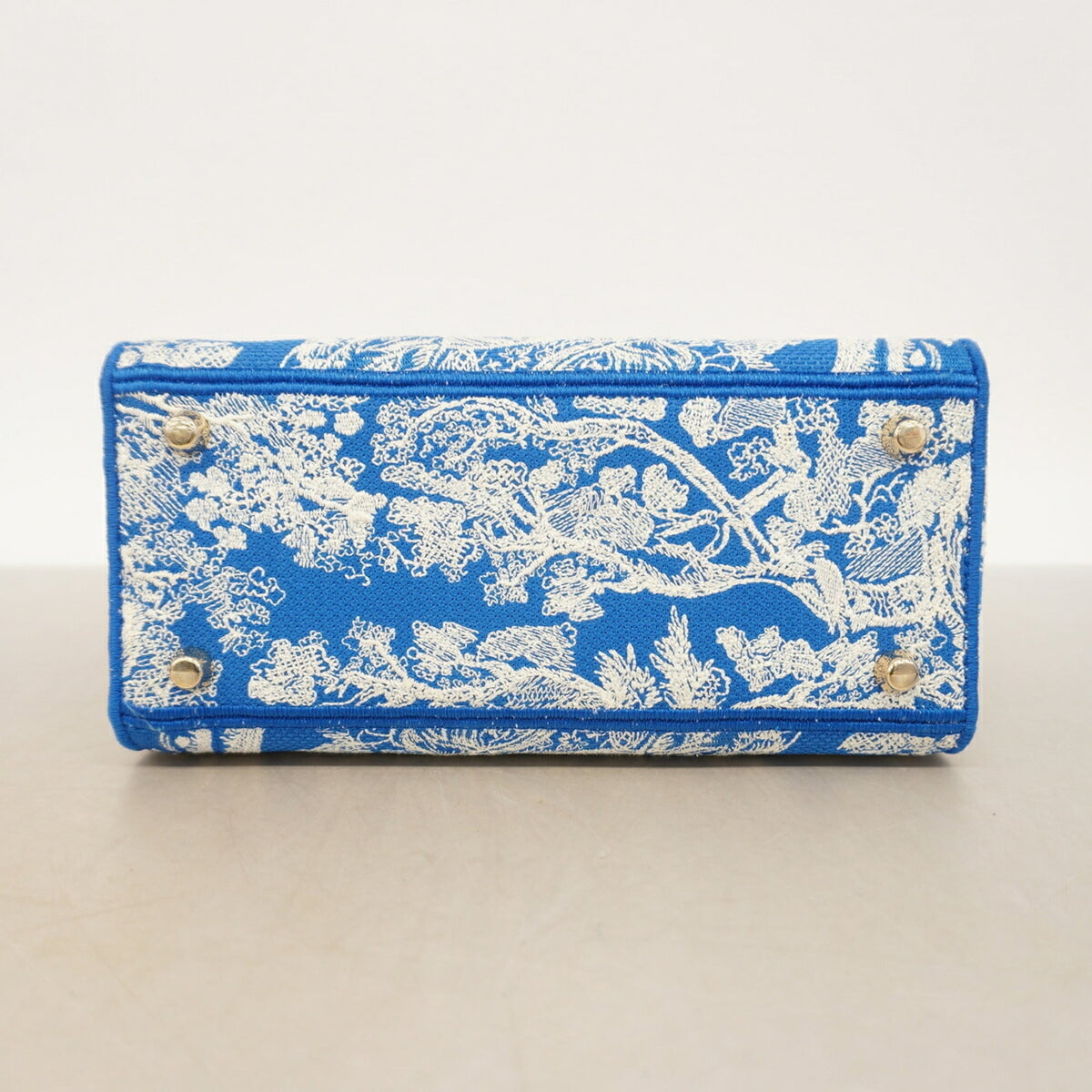 Christian Dior Blue White Canvas Handbag (Pre-Owned)