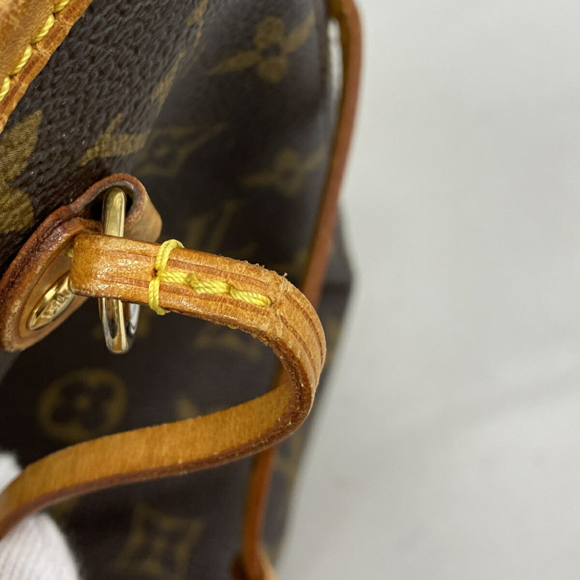 Louis Vuitton Brown Tote Bag (Pre-Owned)