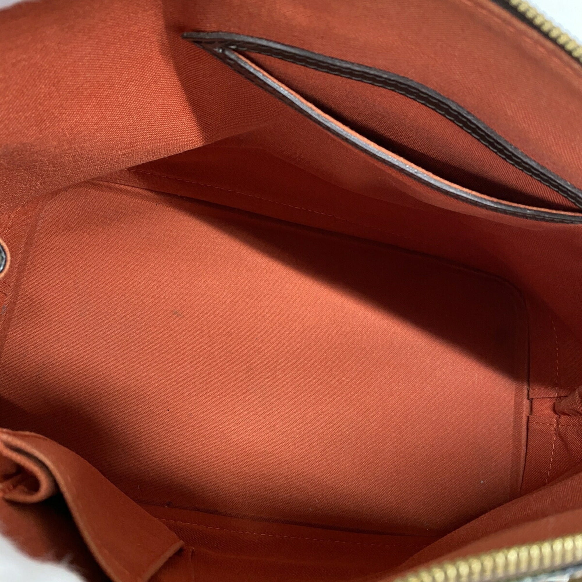 Louis Vuitton Ebene Handbag (Pre-Owned)