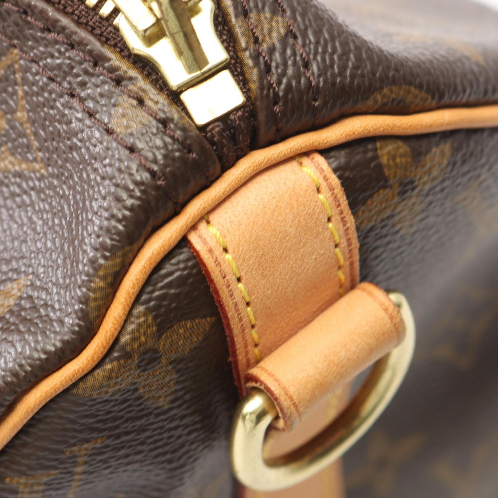 Louis Vuitton Brown Pvc Coated Canvas Leather Handbag (Pre-Owned)