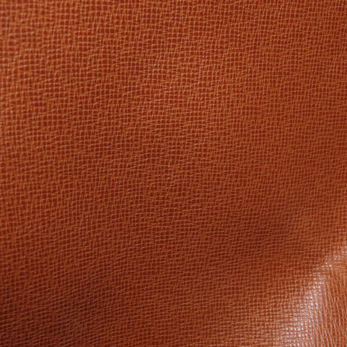 Louis Vuitton Monogram Monogram Handbag Pouch (Pre-Owned)
