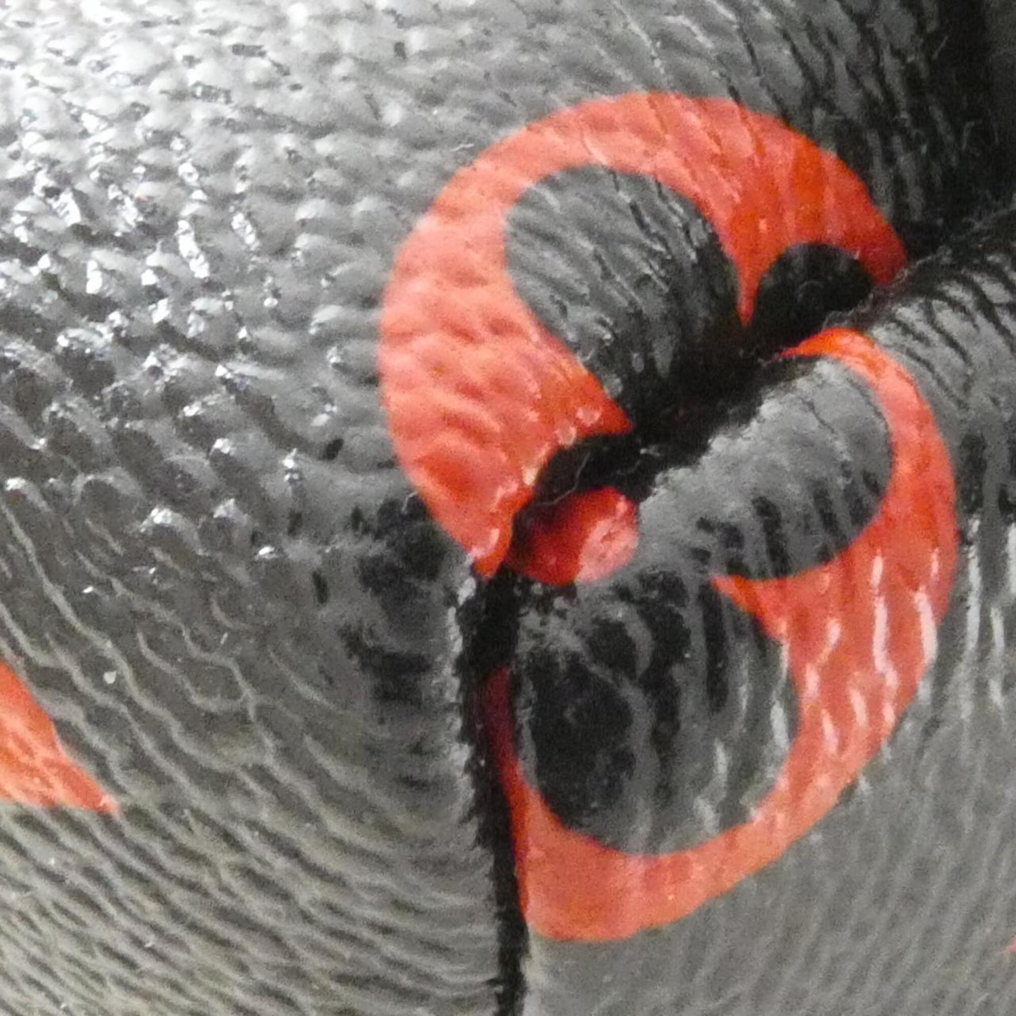 Louis Vuitton Black Rouge Coated Canvas Backpack (Pre-Owned)
