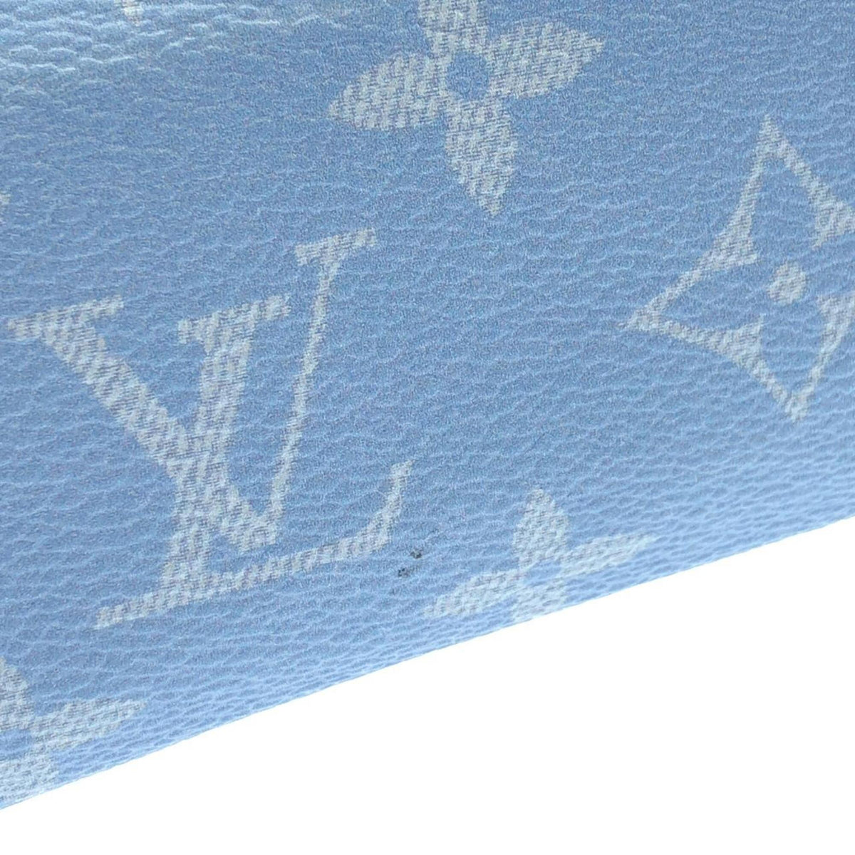 Louis Vuitton Blue Coated Canvas Handbag Pochette (Pre-Owned)