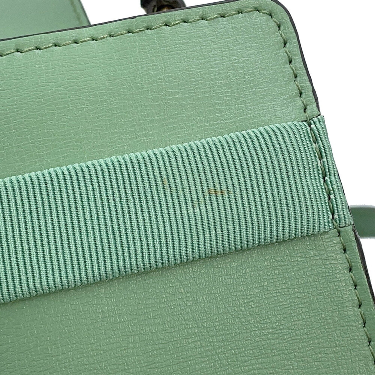 Salvatore Ferragamo Light Green Leather Shoulder Bag (Pre-Owned)