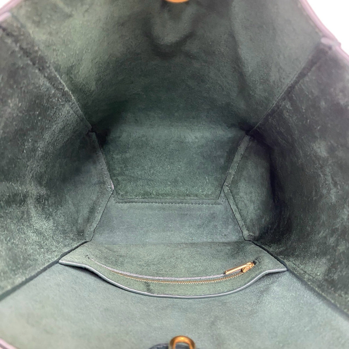 Celine Green Leather Crossbody Bag Shoulder Bag (Pre-Owned)