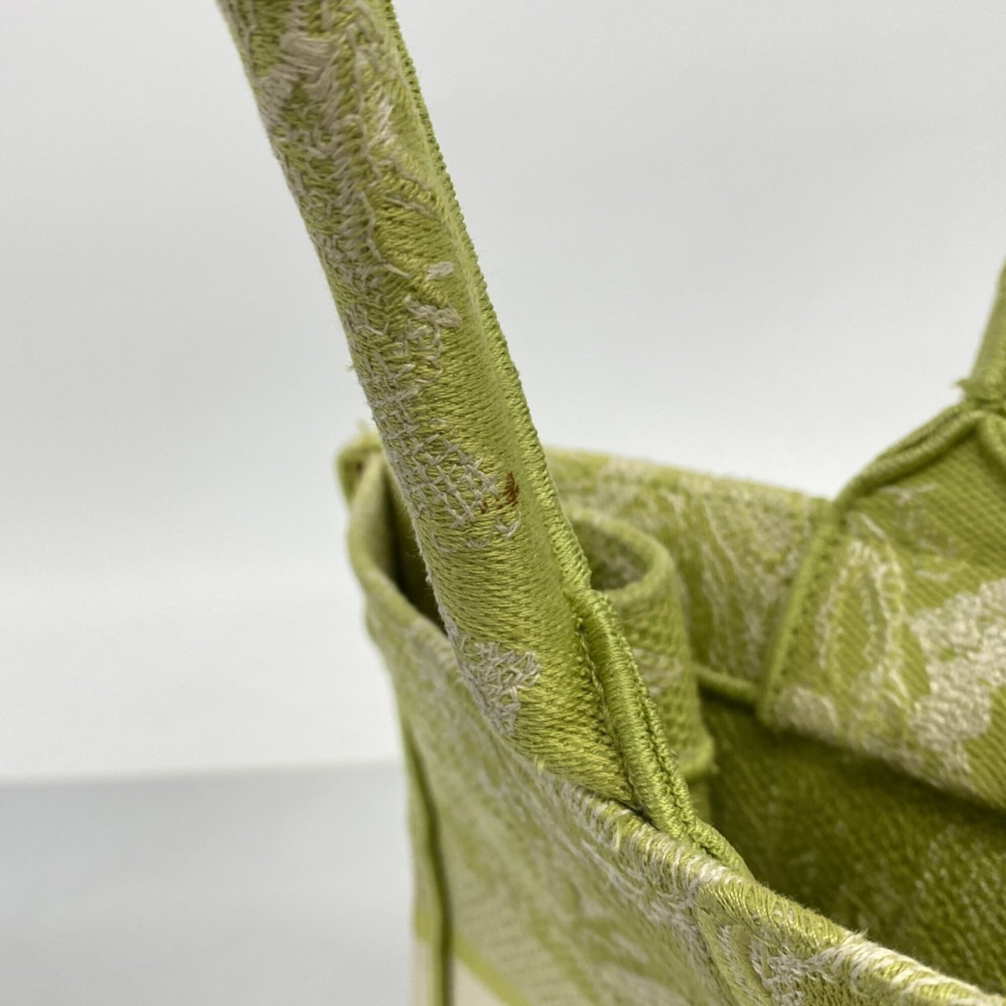 Christian Dior Light Green Canvas Tote Bag (Pre-Owned)