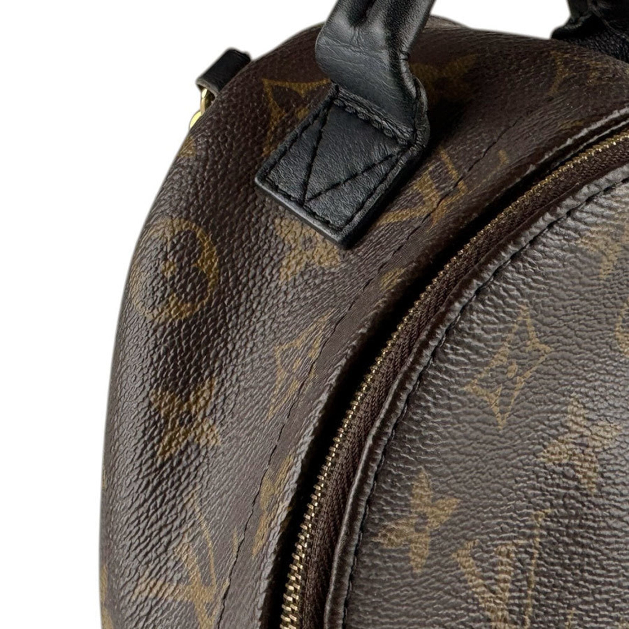 Louis Vuitton Brown Monogram Monogram Backpack (Pre-Owned)