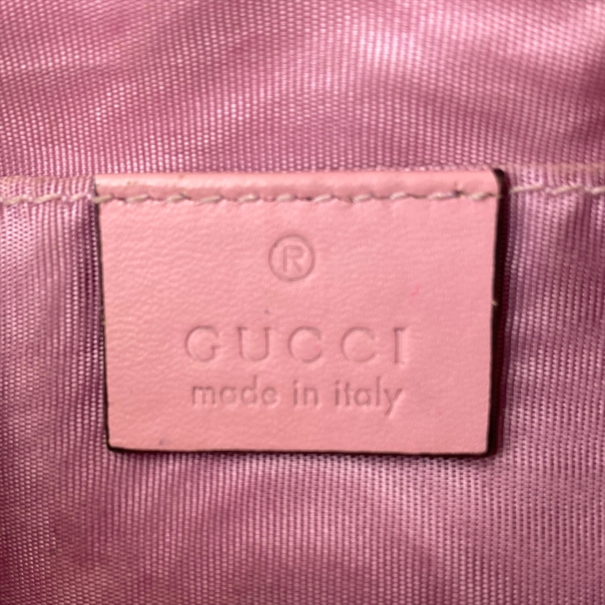 Gucci Multi-Color Pvc Handbag Pouch (Pre-Owned)