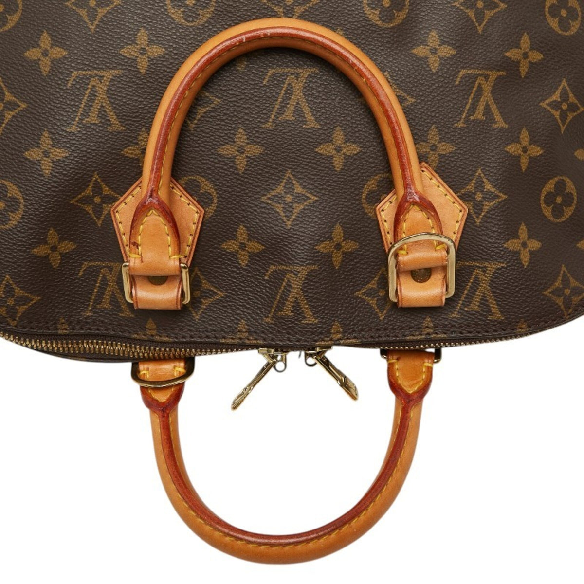 Louis Vuitton Brown Pvc Leather Handbag (Pre-Owned)