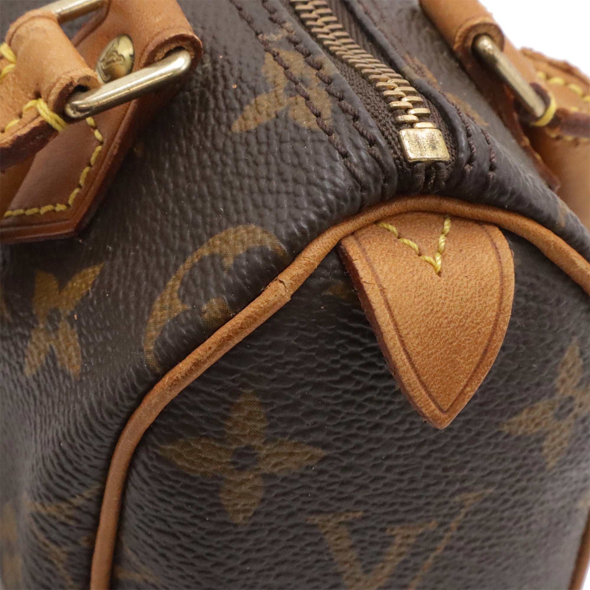 Louis Vuitton Brown Monogram Monogram Mini Handbag Pouch (Pre-Owned)