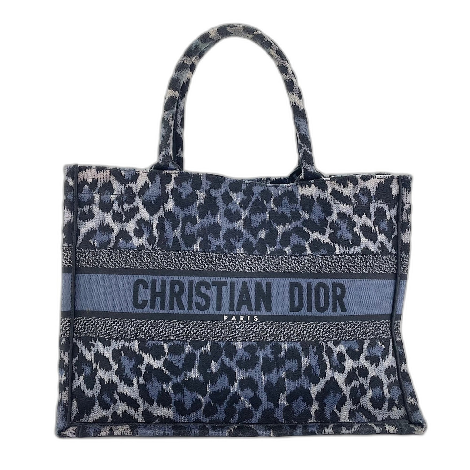 Christian Dior Blue Tote Bag (Pre-Owned)
