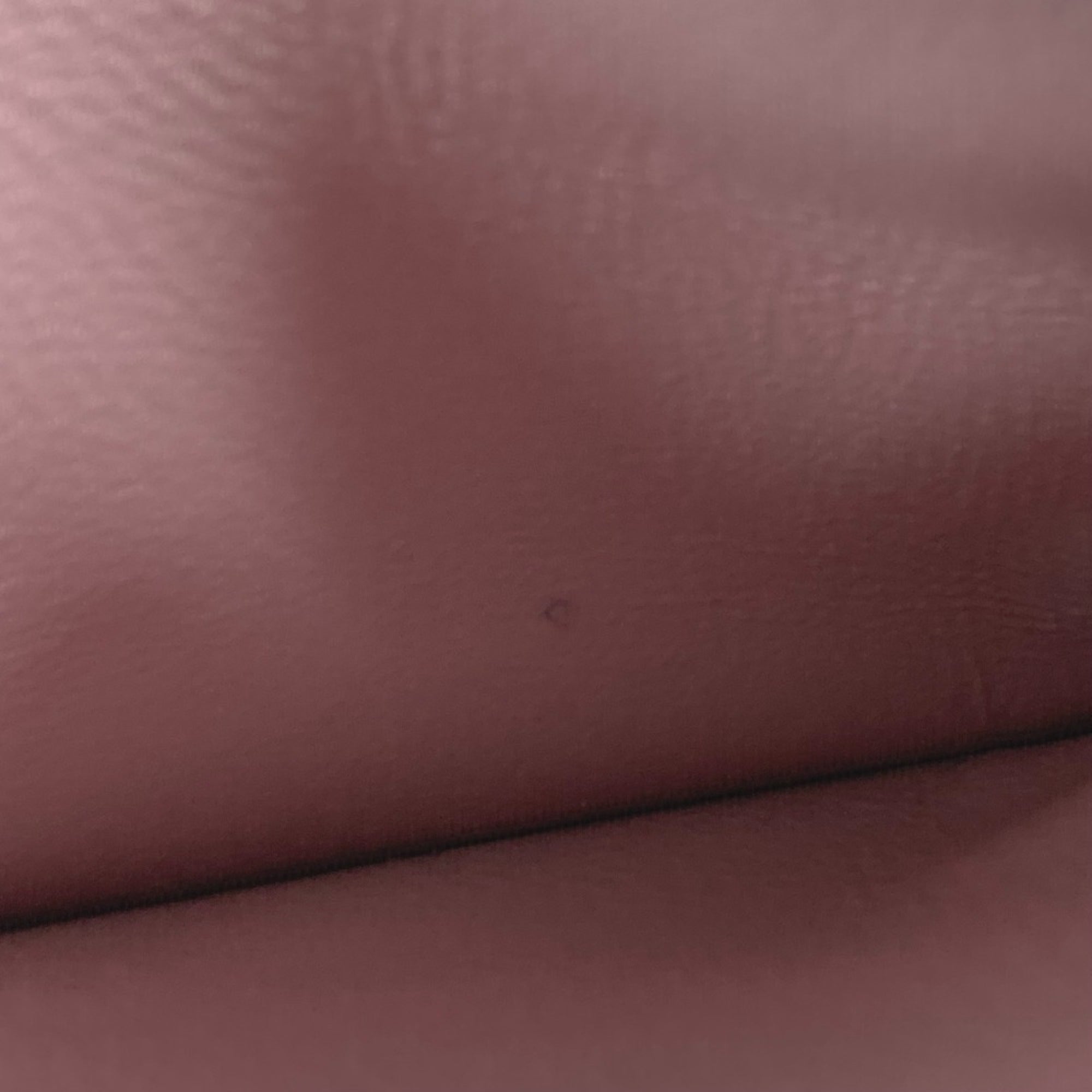 Balenciaga Pink Leather Coin Purse/Coin Case (Pre-Owned)