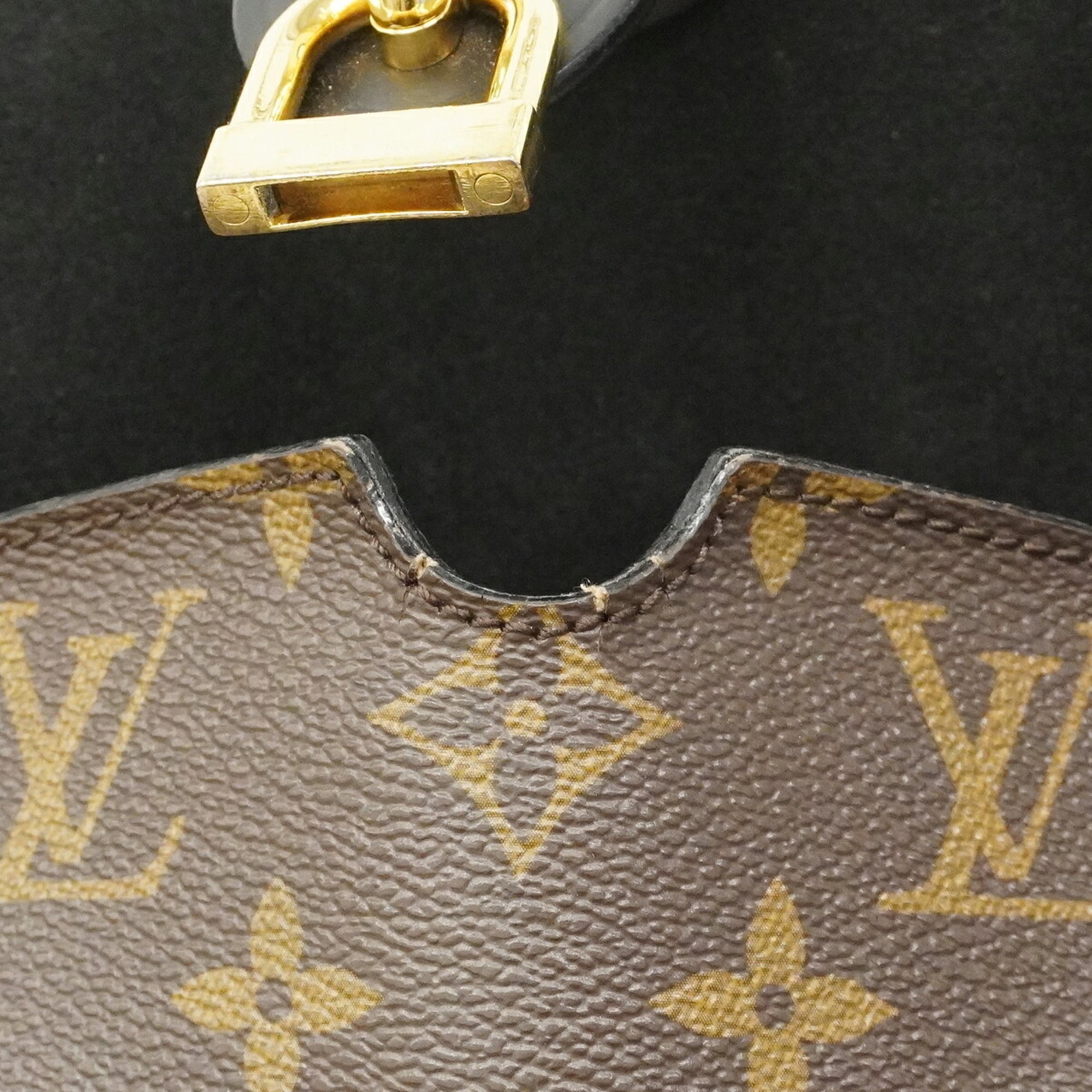 Louis Vuitton Brown Handbag (Pre-Owned)