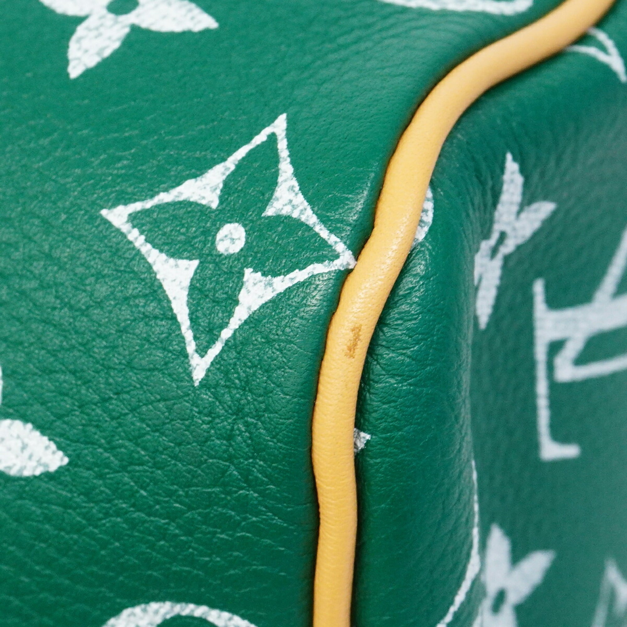 Louis Vuitton Vert Handbag (Pre-Owned)