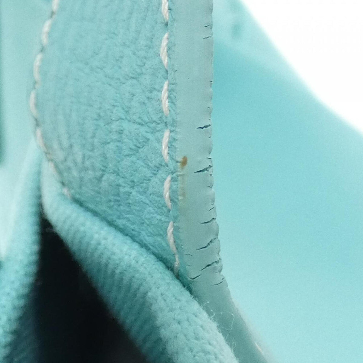 Tiffany Tiffany Blue Canvas Leather Handbag (Pre-Owned)