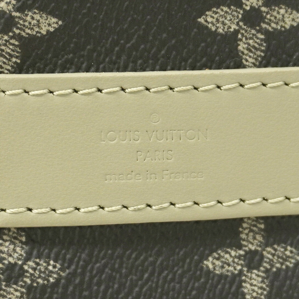 Louis Vuitton Green Handbag (Pre-Owned)