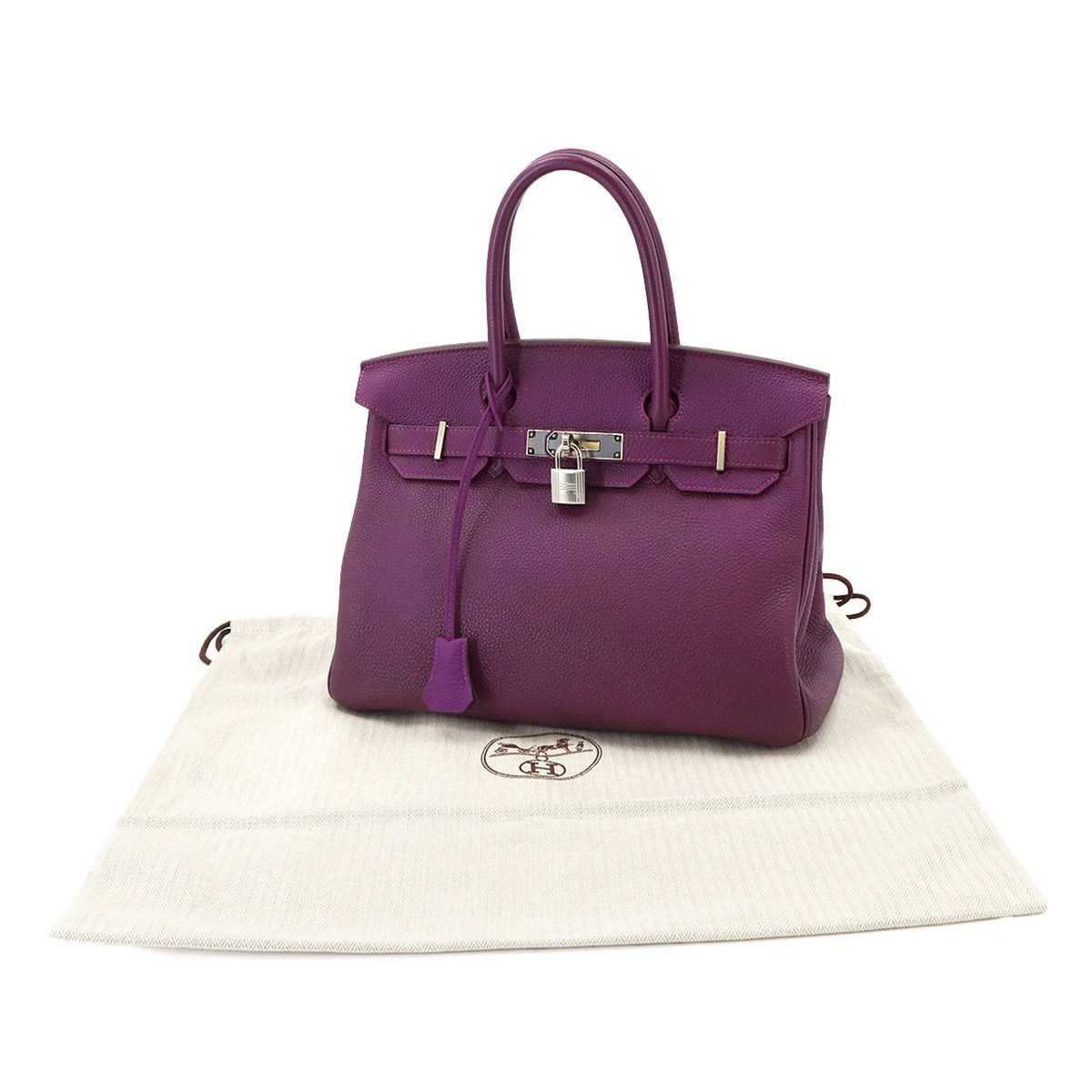 Hermes Birkin Anemone Togo Leather Handbag (Pre-Owned)