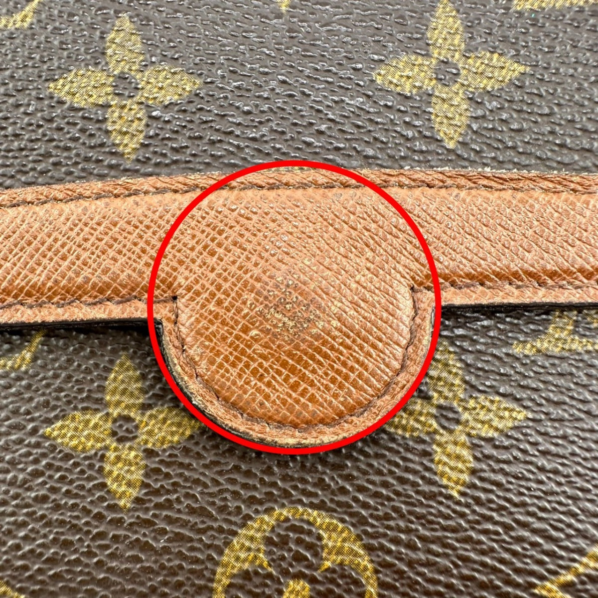 Louis Vuitton Monogram Monogram Fanny Pack (Pre-Owned)