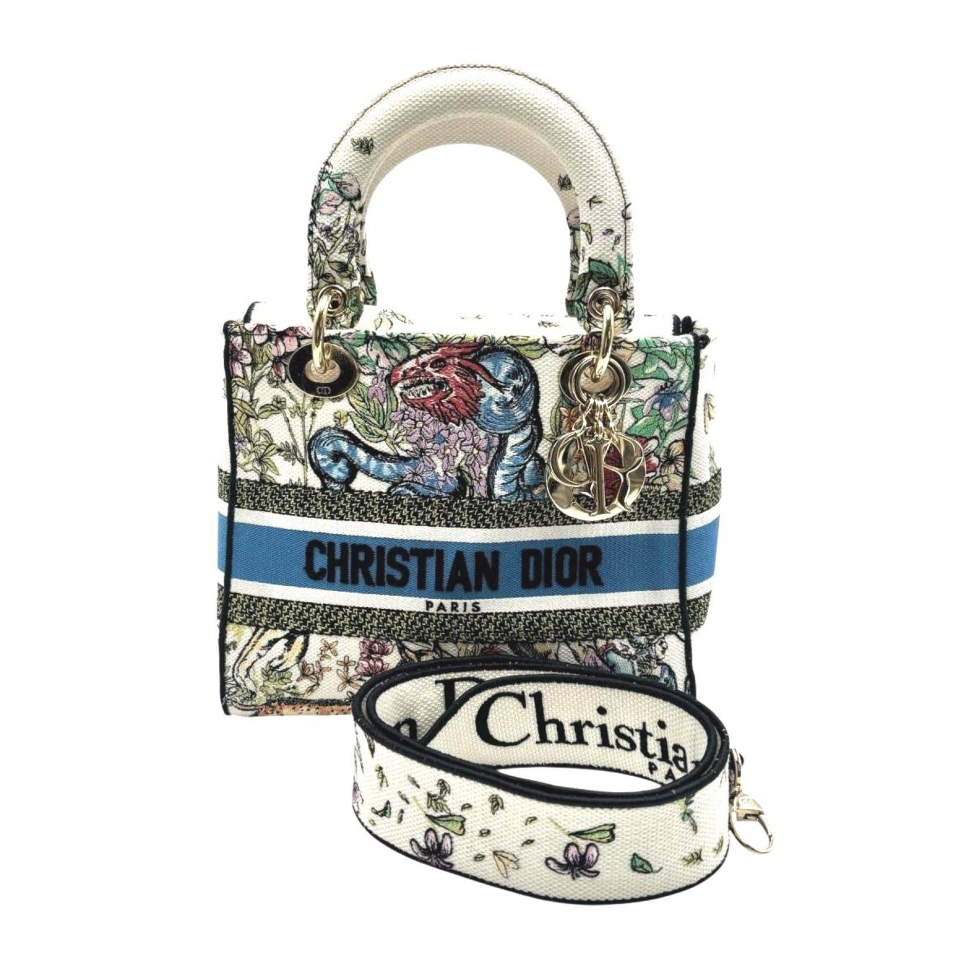 Christian Dior Lady Dior Multi-Color Canvas Handbag (Pre-Owned)