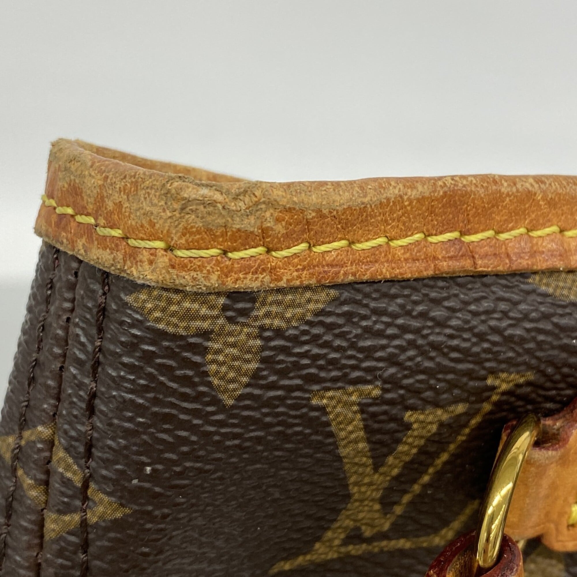 Louis Vuitton Pivoine Tote Bag (Pre-Owned)