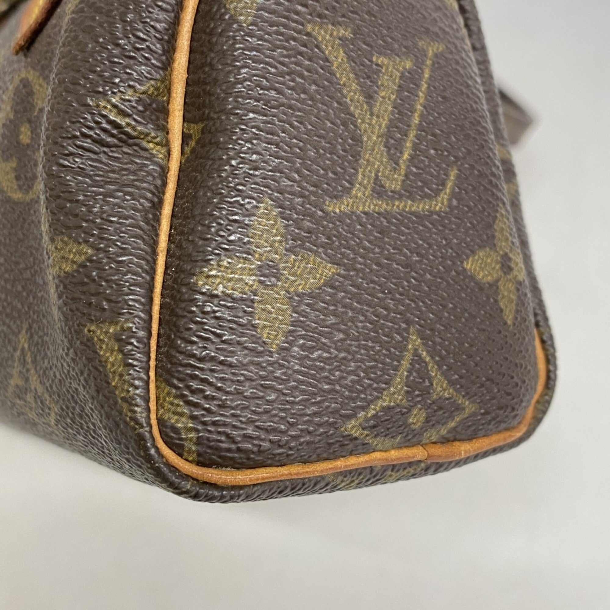 Louis Vuitton Brown Handbag (Pre-Owned)