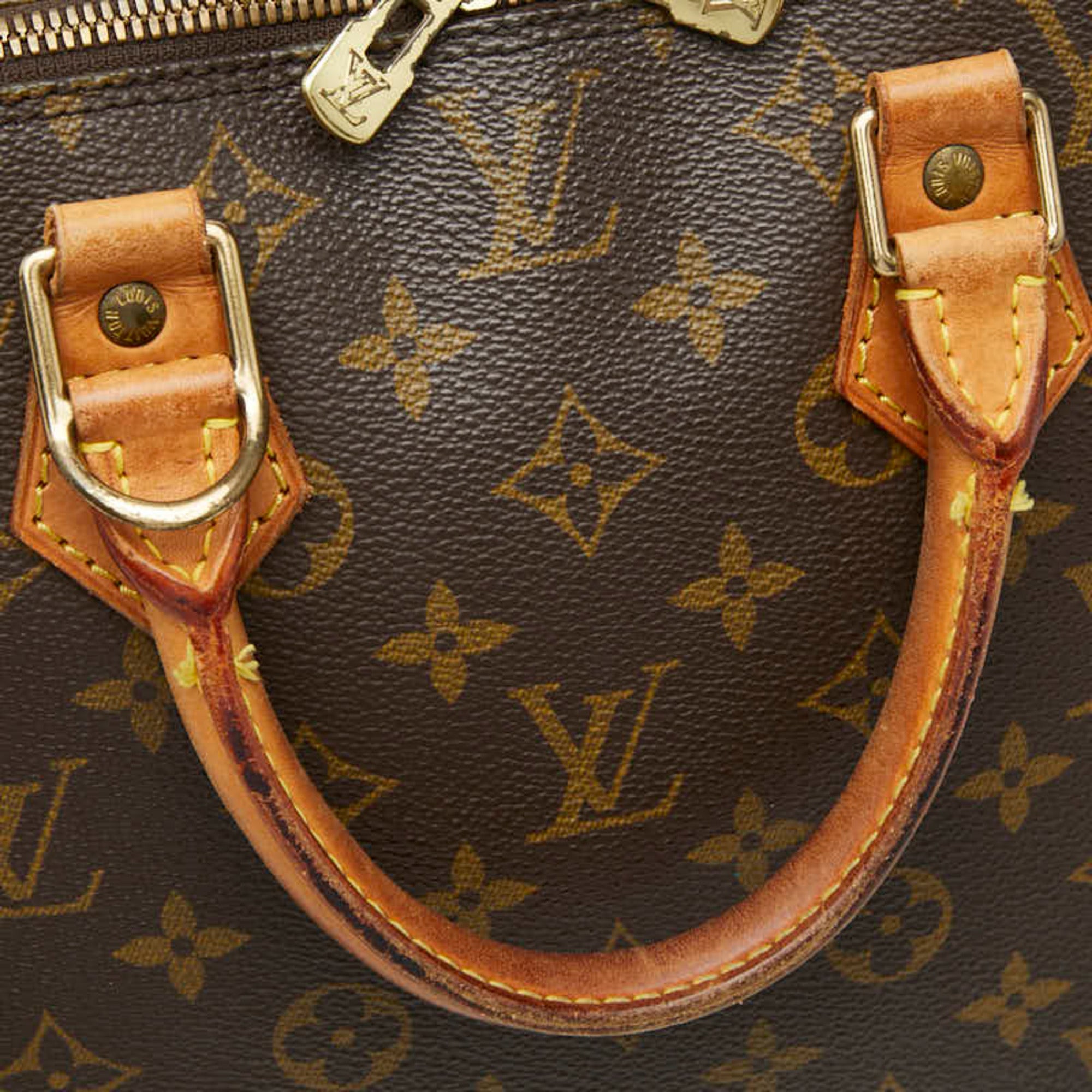 Louis Vuitton Brown Monogram Pvc Handbag (Pre-Owned)