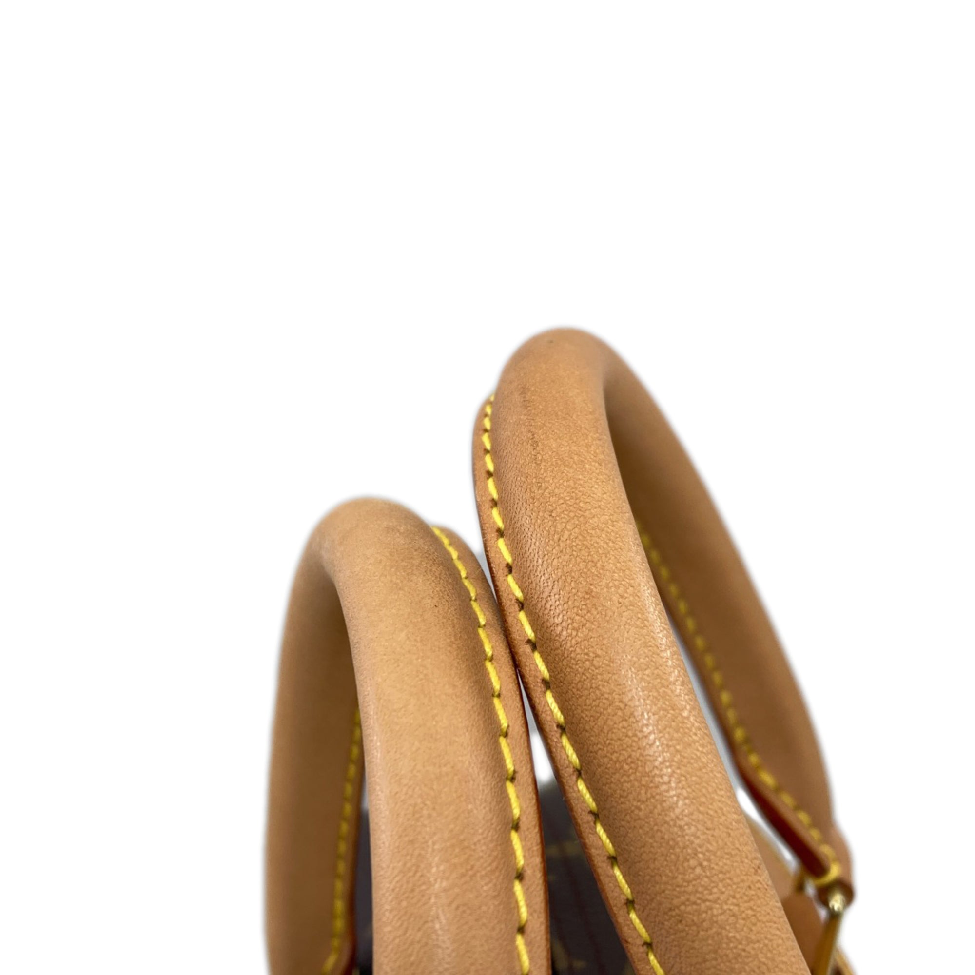 Louis Vuitton Monogram Monogram Monogram Handbag (Pre-Owned)