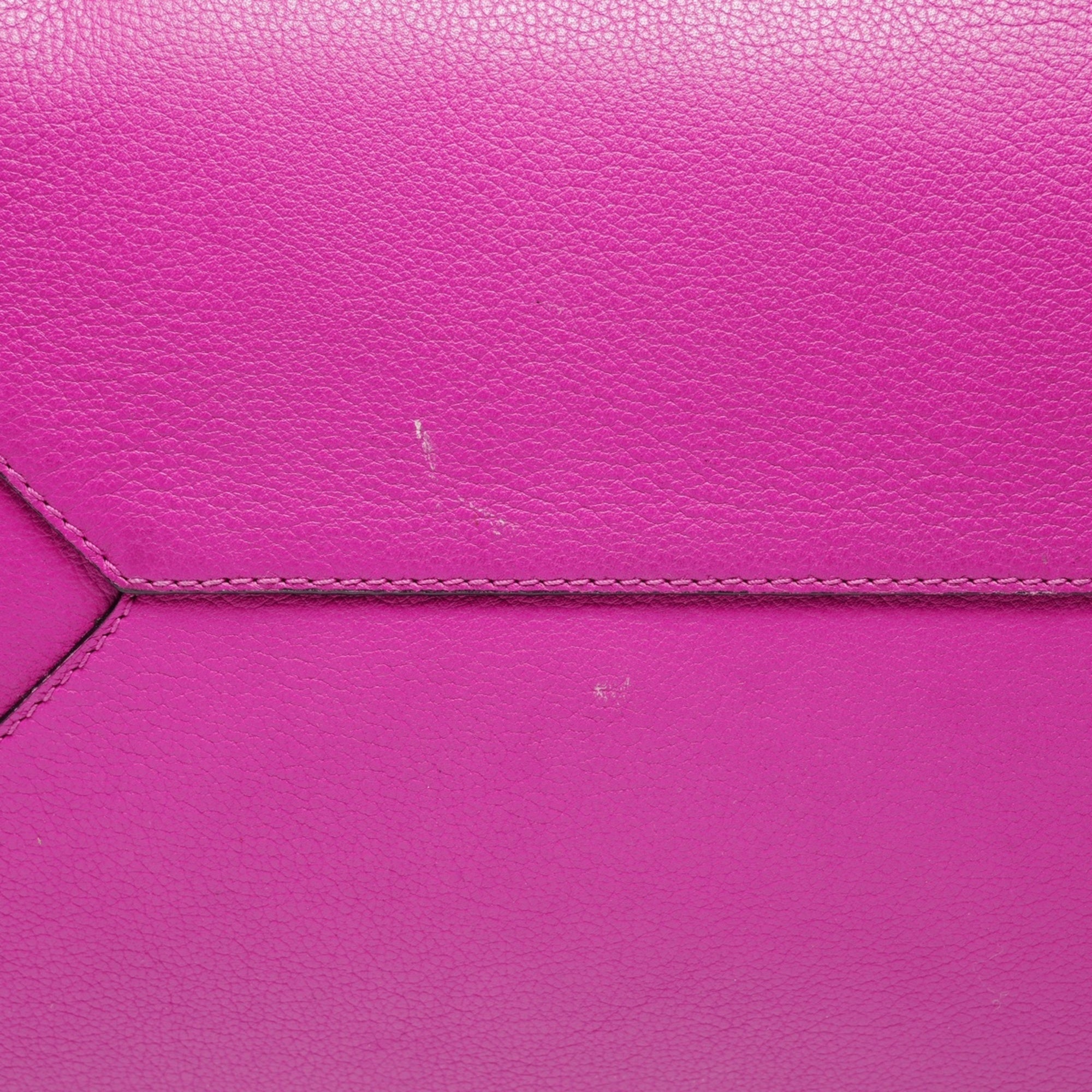 Loewe Purple Tote Bag (Pre-Owned)