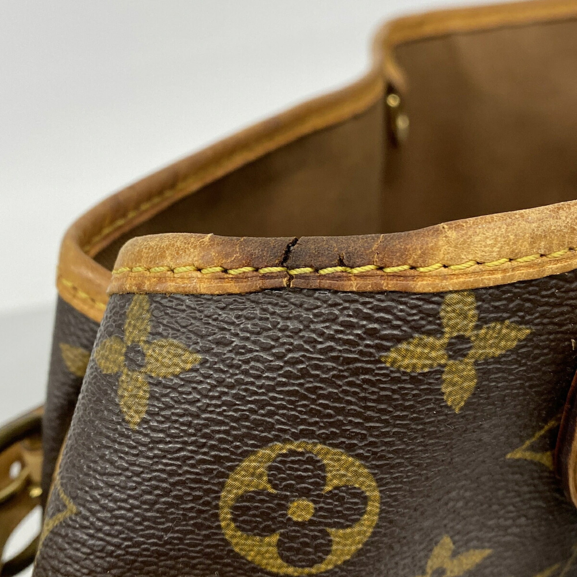 Louis Vuitton Brown Tote Bag (Pre-Owned)