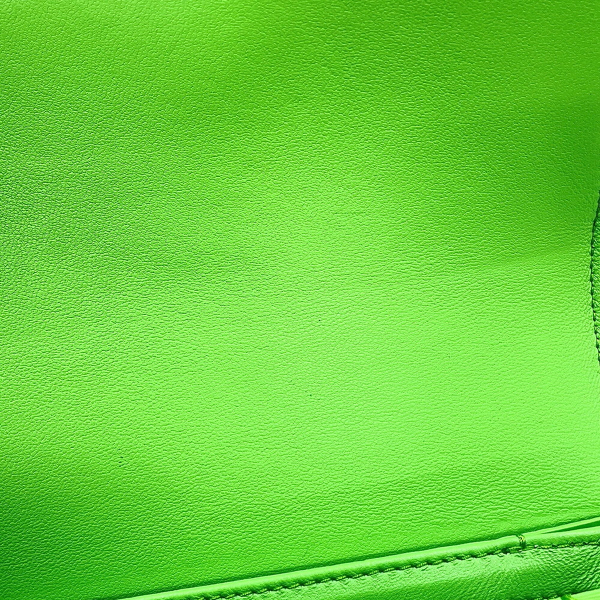 Celine Light Green Leather Shoulder Bag (Pre-Owned)