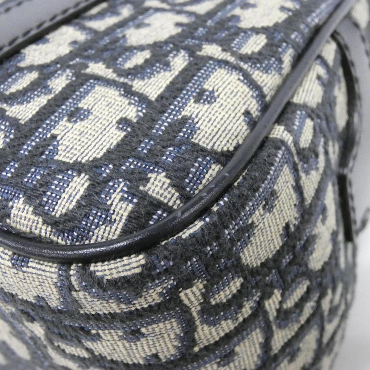 Christian Dior Blue Canvas Handbag (Pre-Owned)