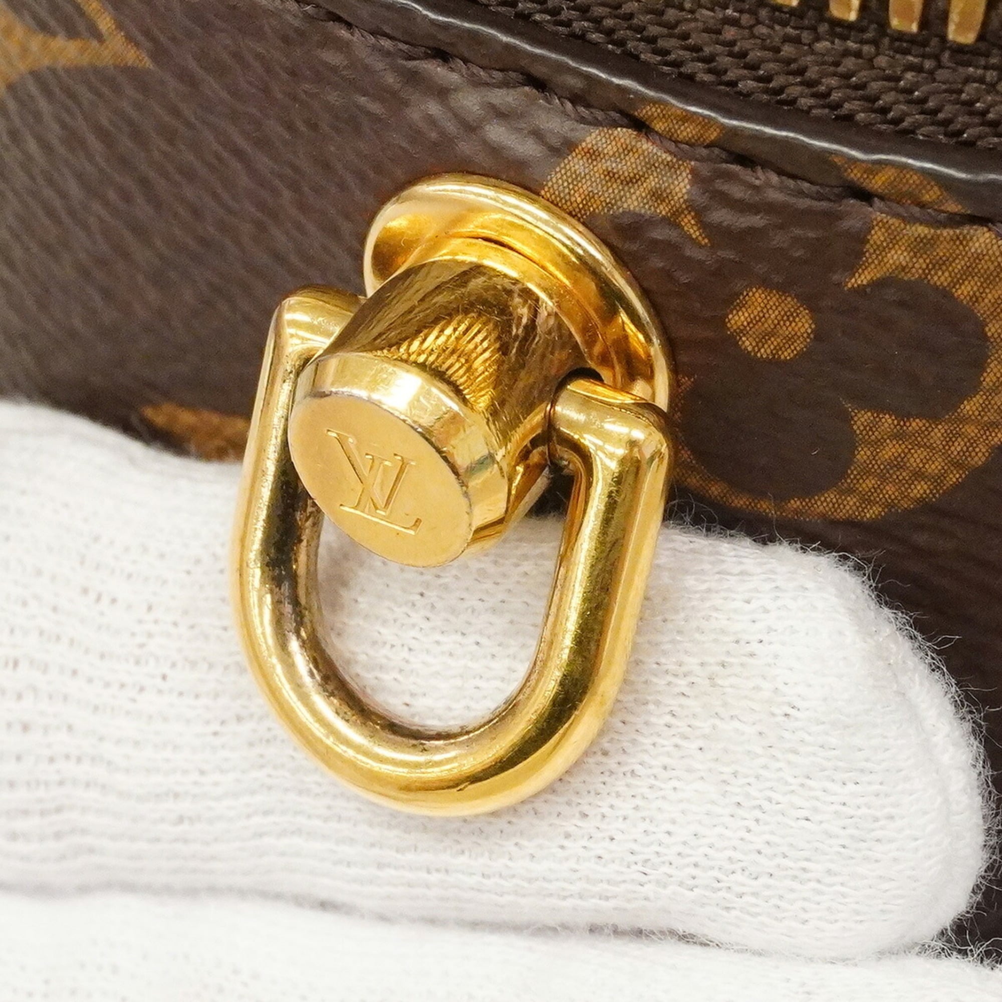 Louis Vuitton Brown Vanity Bag (Pre-Owned)