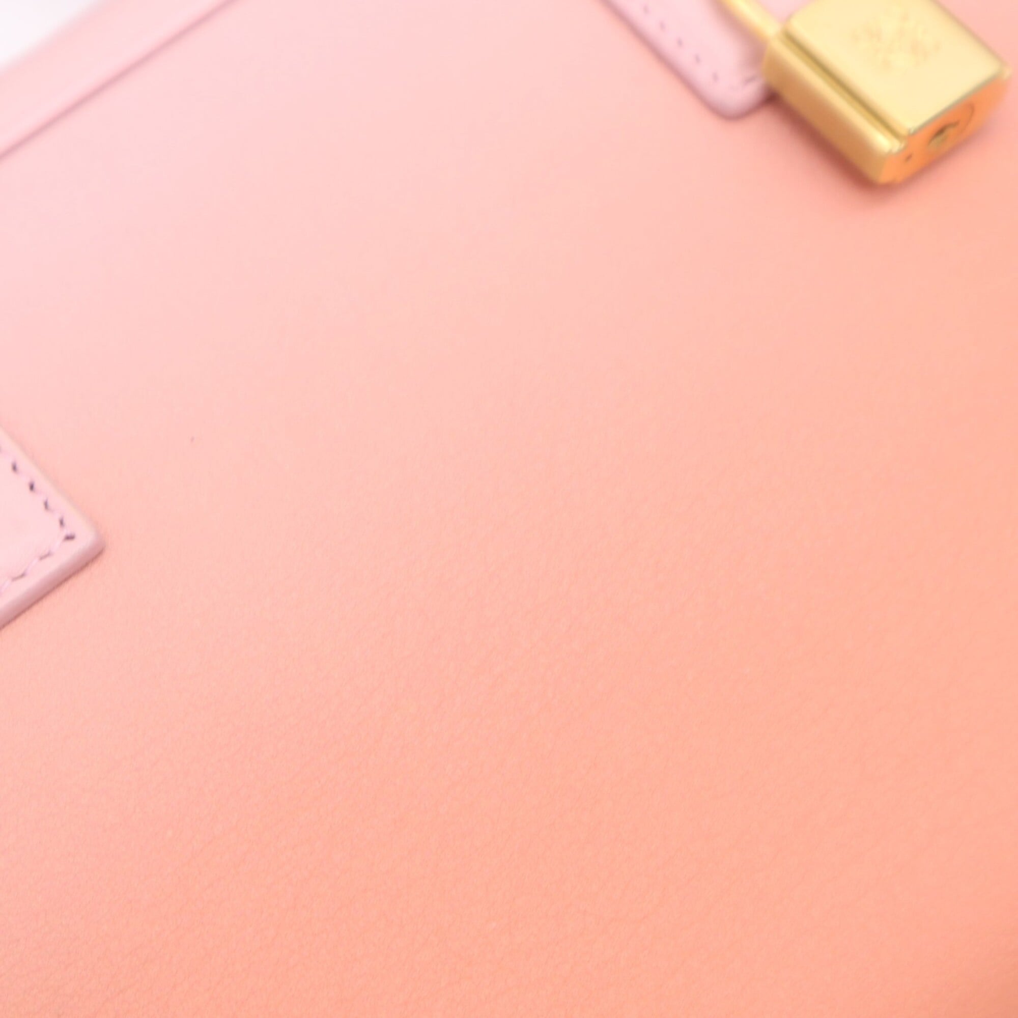 Loewe Amazona Orange Pink Leather Handbag Shoulder Bag (Pre-Owned)
