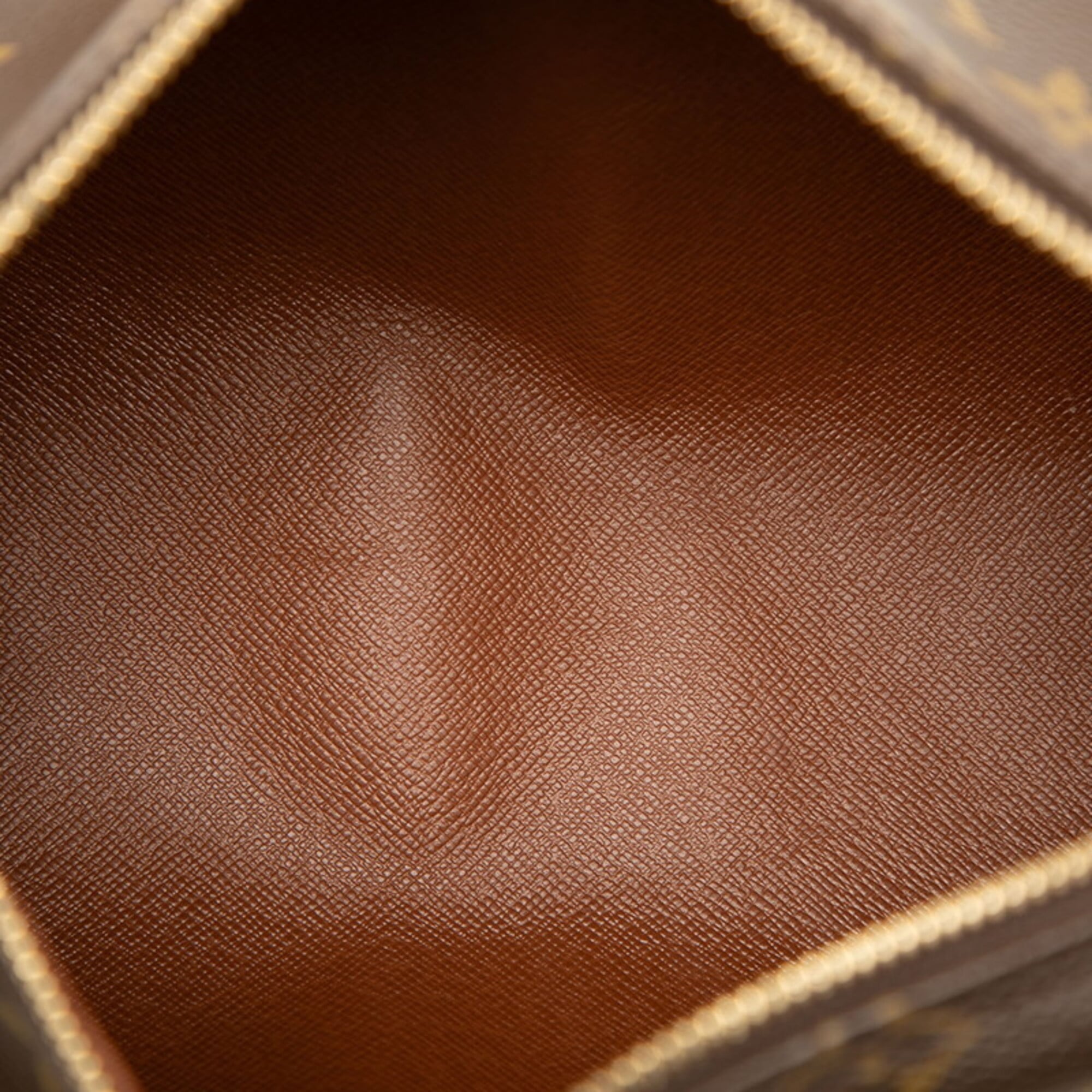 Louis Vuitton Brown Pvc Leather Handbag (Pre-Owned)