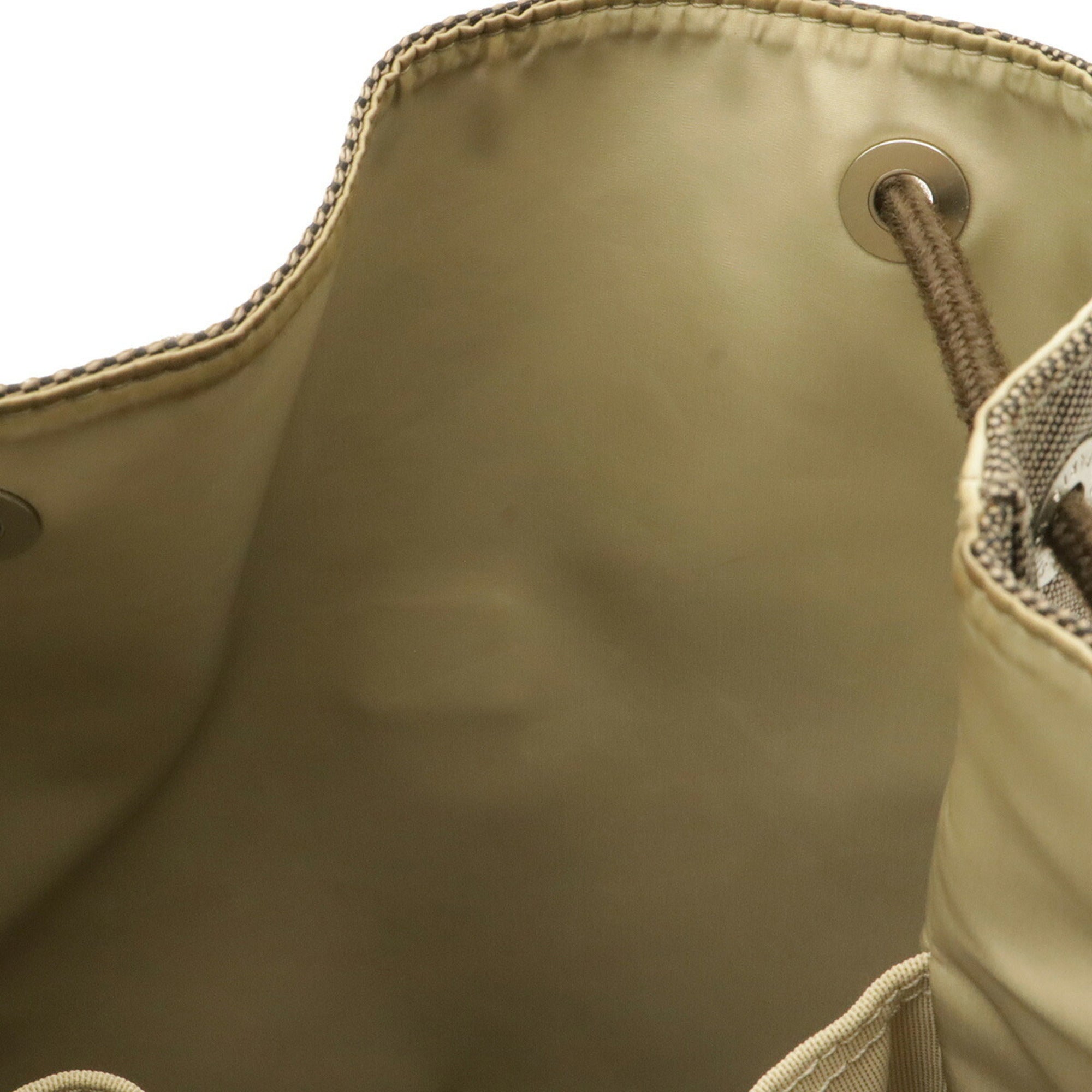 Louis Vuitton Earth Damier Geant Canvas Backpack (Pre-Owned)