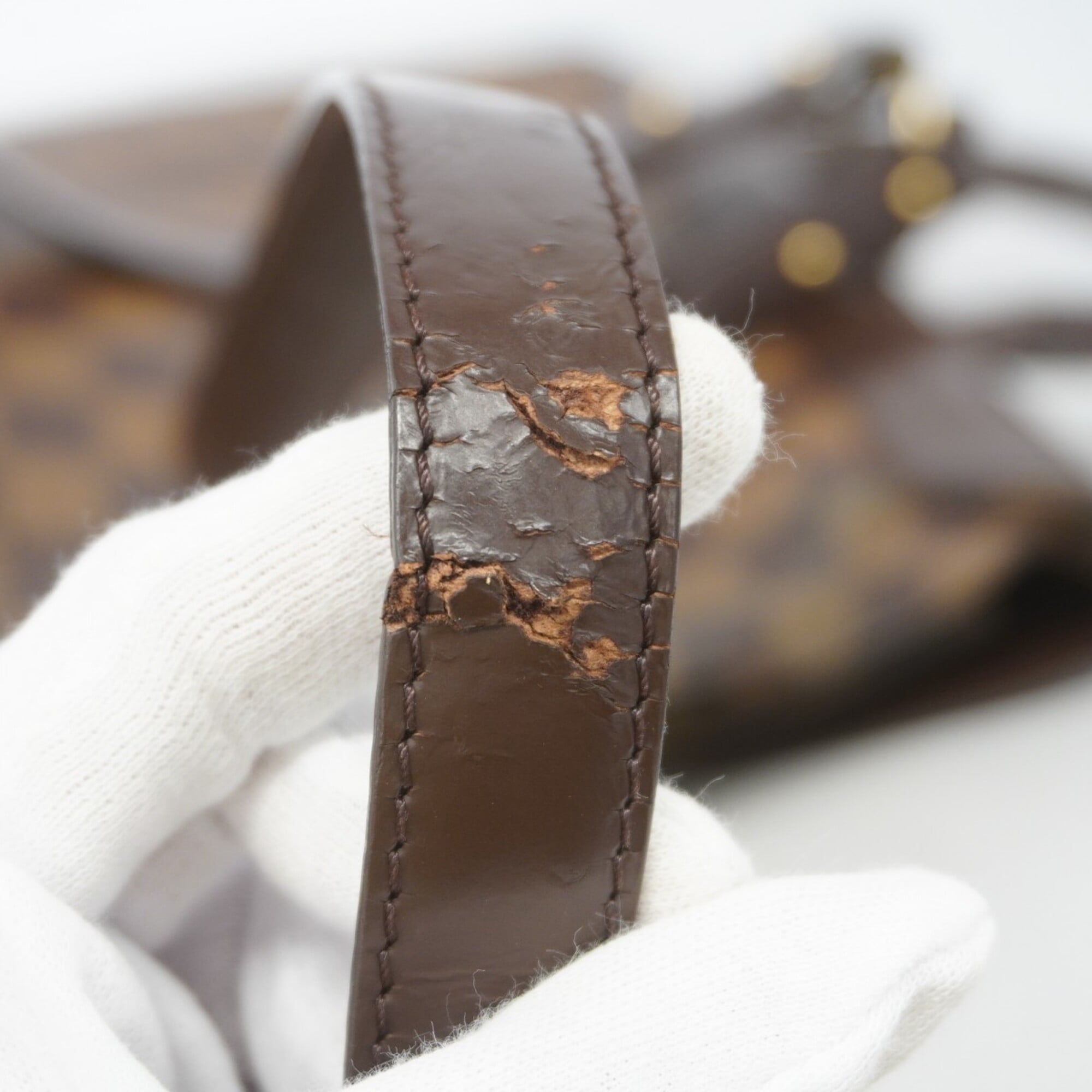 Louis Vuitton Ebene Backpack (Pre-Owned)