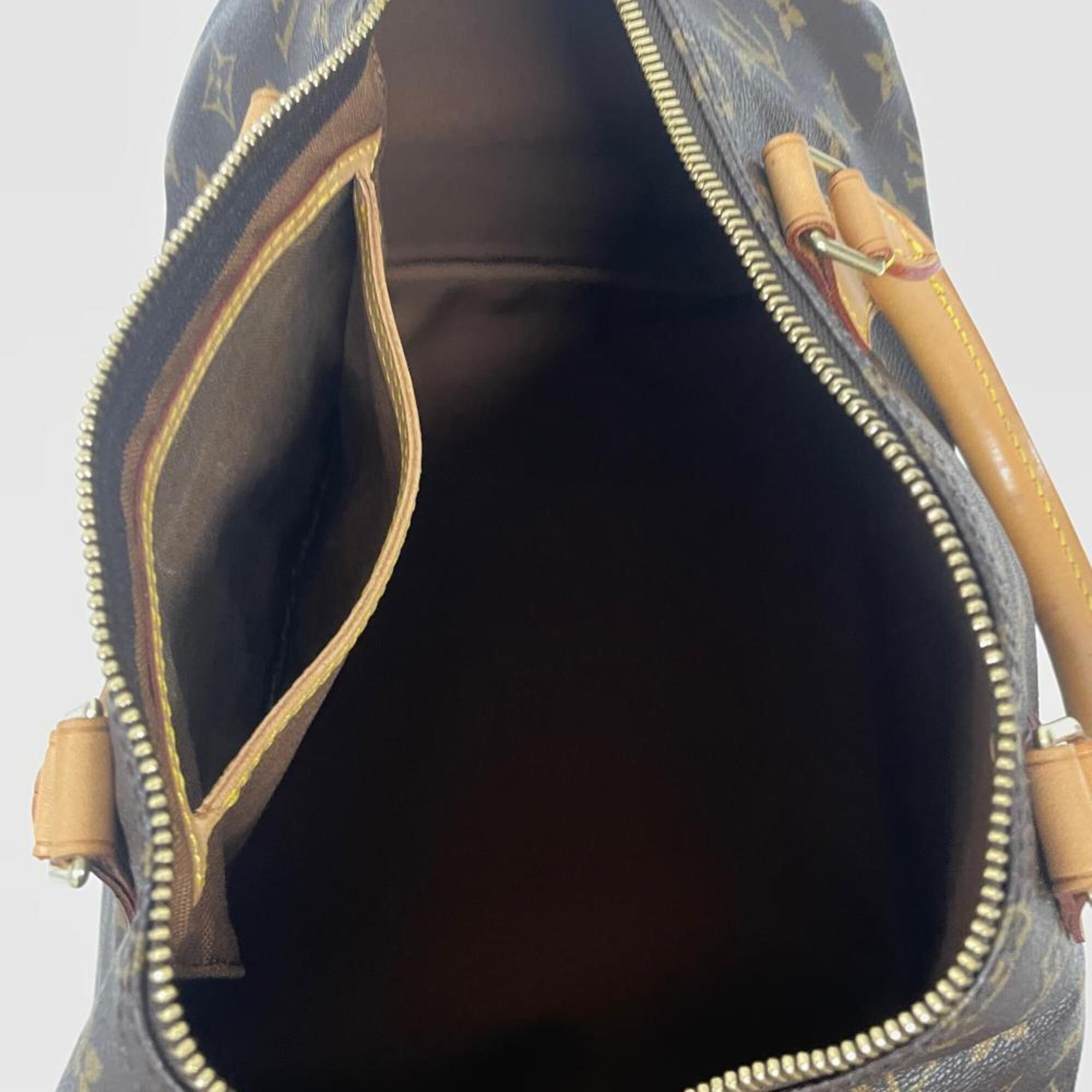 Louis Vuitton Monogram Brown Monogram Monogram Handbag (Pre-Owned)