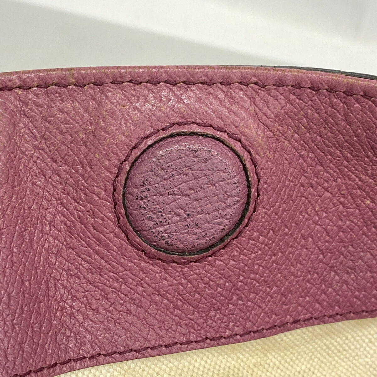Gucci Brown Purple Canvas Handbag (Pre-Owned)
