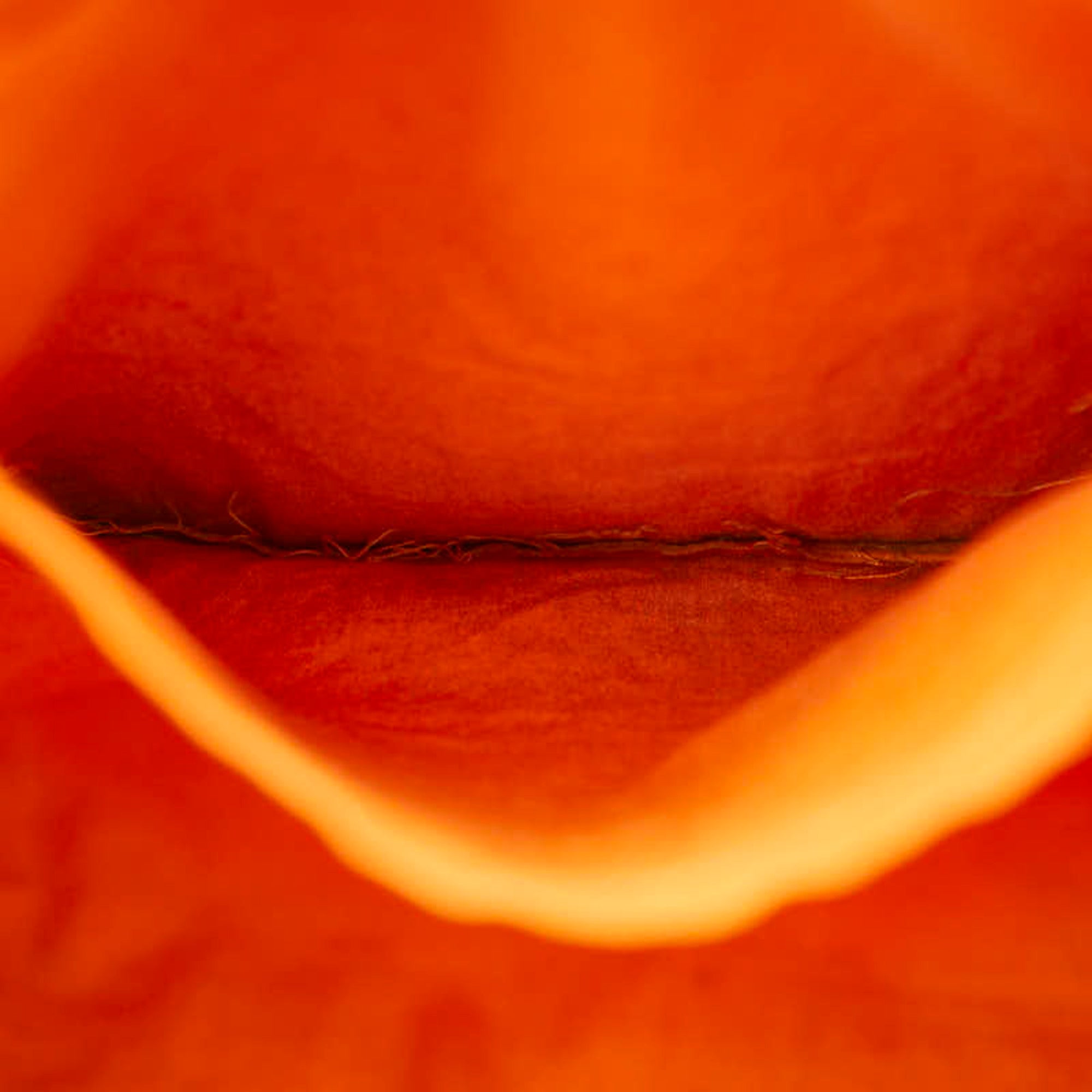 Hermes Orange Wool Cotton Handbag Tote Bag (Pre-Owned)