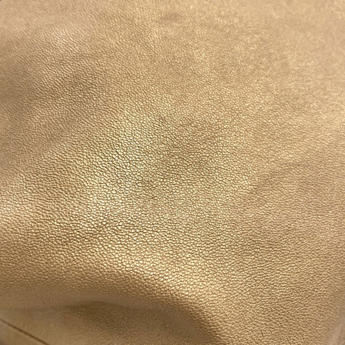 Loewe Gold Leather Handbag (Pre-Owned)