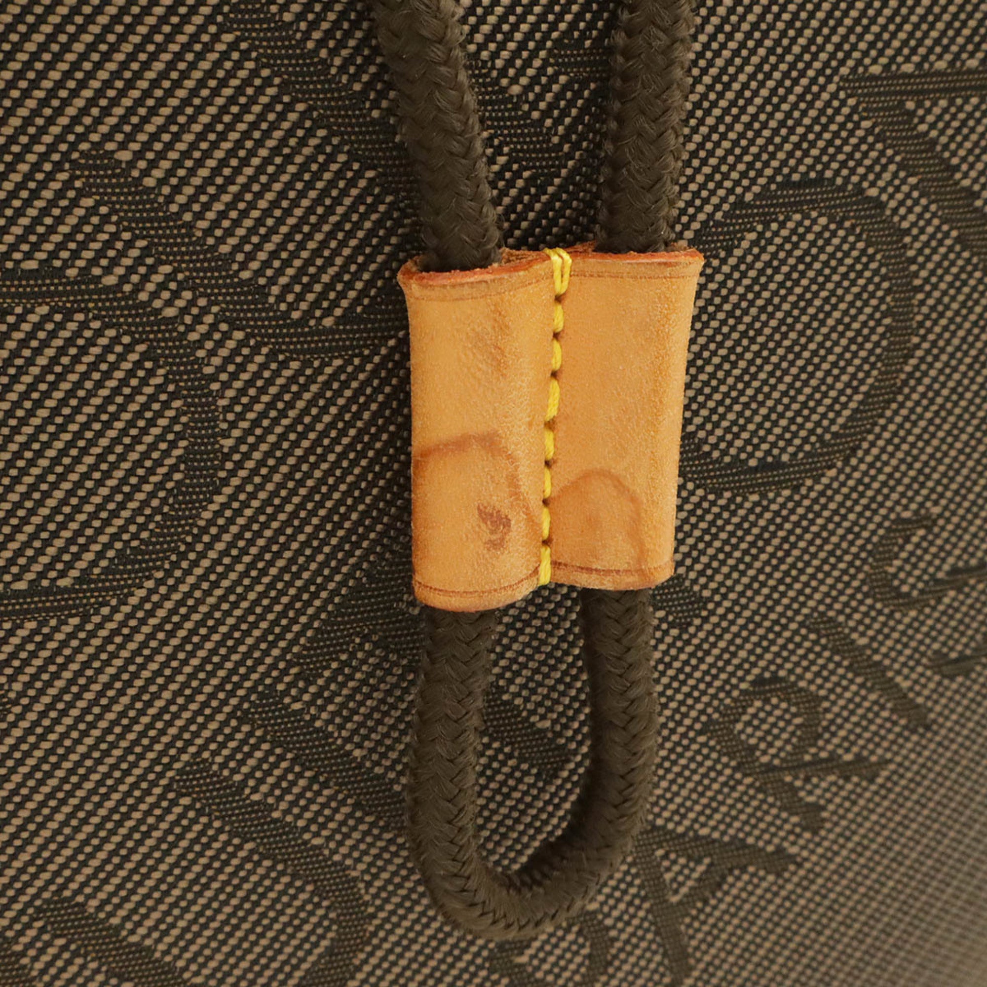 Louis Vuitton Earth Damier Geant Canvas Backpack (Pre-Owned)