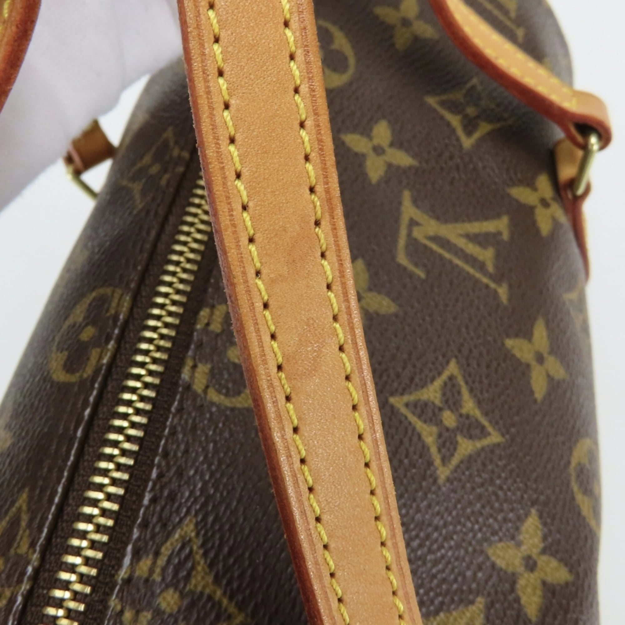 Louis Vuitton Brown Monogram Monogram Handbag (Pre-Owned)