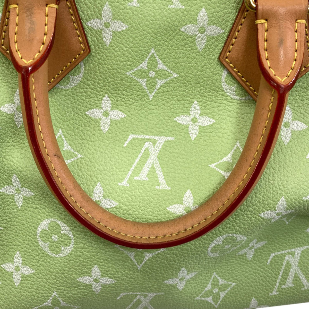 Louis Vuitton Green Monogram Monogram Canvas Leather Handbag (Pre-Owned)
